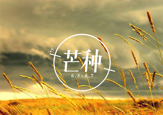 芒種丨你在歲月奔忙的模樣，值得被大地犒賞