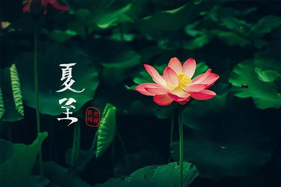 夏至|愿所有期許，如約而至